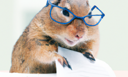 Featured image of post [golang] Validation 모듈을 이용한 Structure 검증